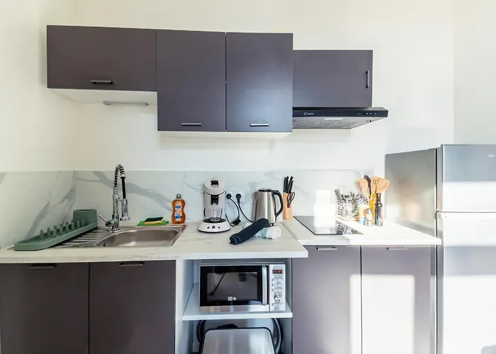 Chaleureux Appartement T2 Au Calme Et Climatise Proximite Centre Lyon