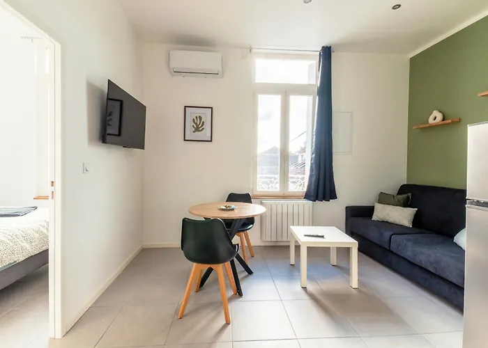 Chaleureux Appartement T2 Au Calme Et Climatise Proximite Centre Lyon